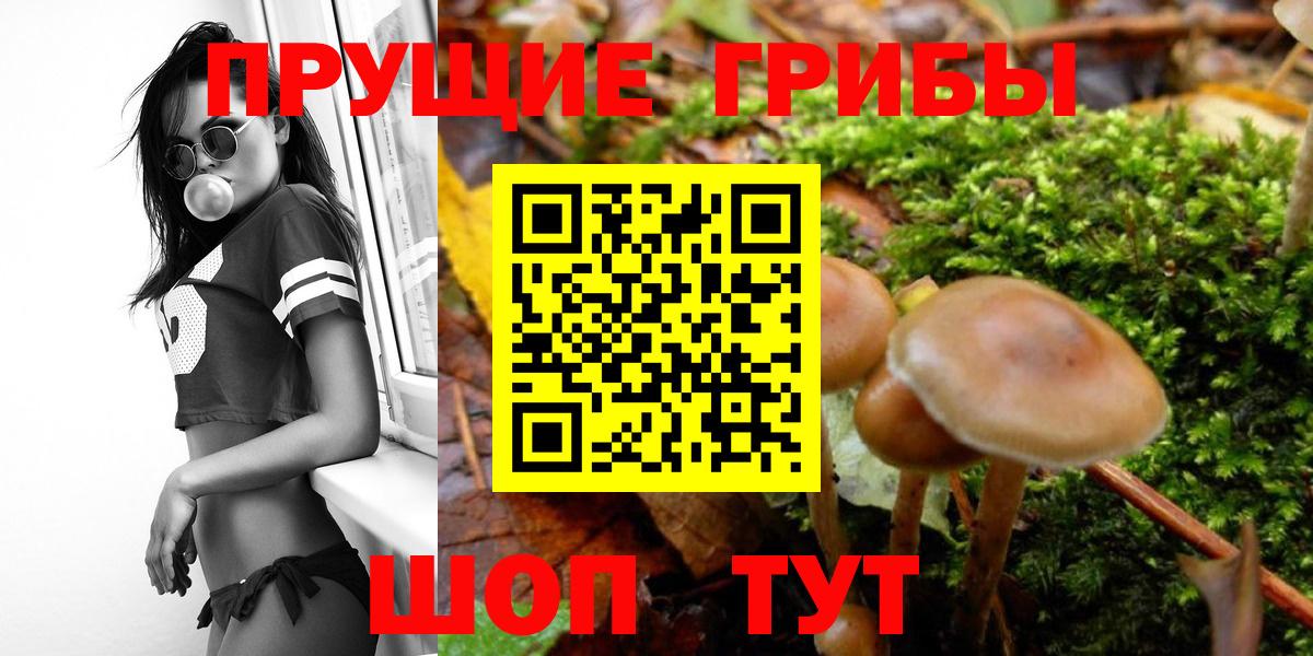 Псилоцибиновые грибы ЛСД Улан-Удэ
