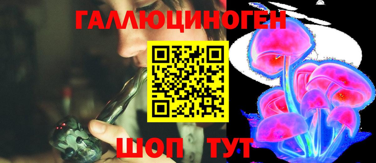 Улан-Удэ  Галлюциногенные грибы Psilocybine cubensis  Вход с VPN  Галлюциногенные грибы прущие грибы 